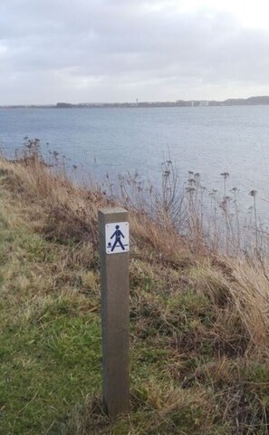 A wooden post with a walking sign, grassy area, and a body of water in the background.