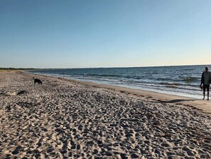 A sandy beach with footprints and a dog, and a person walking along the shore. - 6 Person Holiday Home in Vaeggerlose (Vaeggerlose)