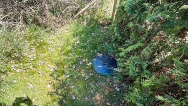 A natural outdoor area with dense vegetation and a circular object. - 6 Person Holiday Home in Vaeggerlose (Vaeggerlose)