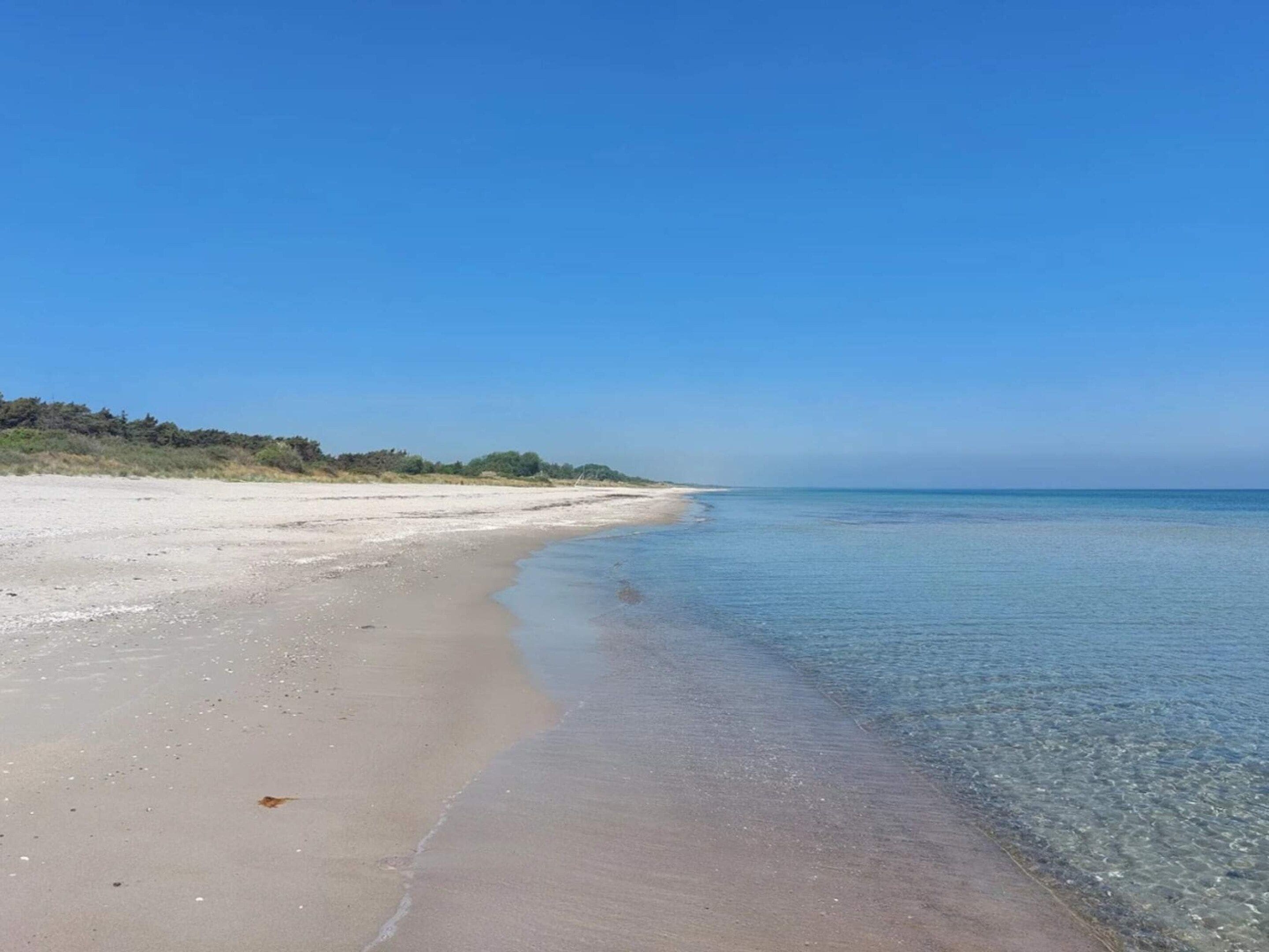 A wide sandy beach with clear blue water and a distant tree line.