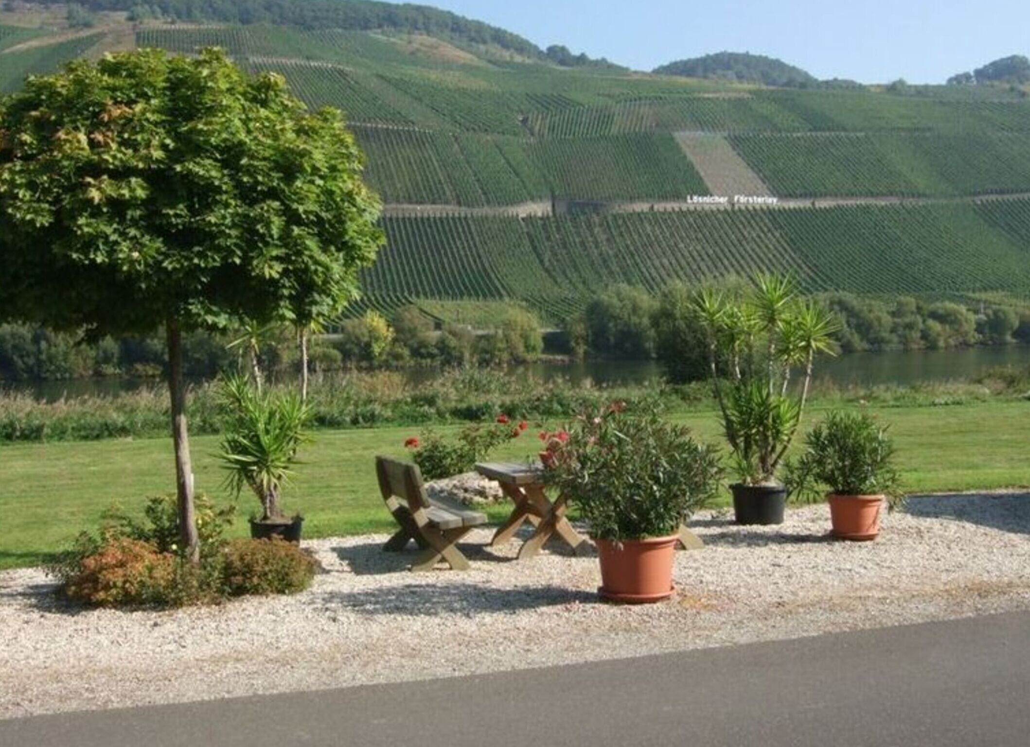 A scenic outdoor seating area with a view of vineyards and a lake.