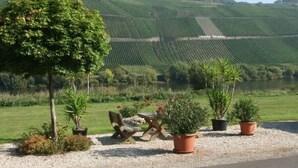Un espace extérieur aménagé, offrant un cadre agréable et une vue sur les vignes et un lac.