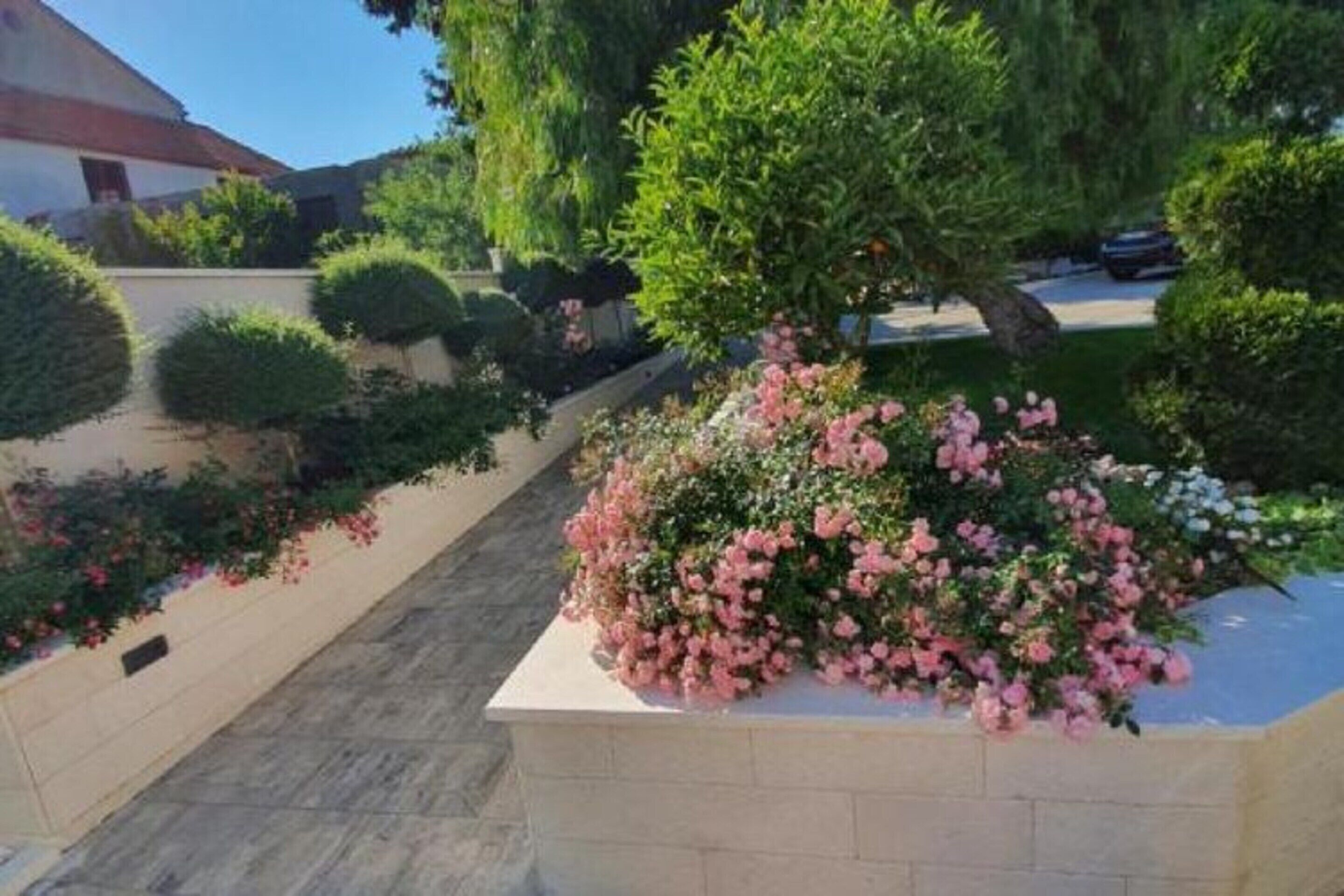 A landscaped garden with a variety of plants and flowers, a paved pathway, and a building with a red roof in the background.