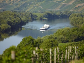 A boat on a river surrounded by lush greenery. - Holiday Home Moselle Valley (Maring-Noviand)