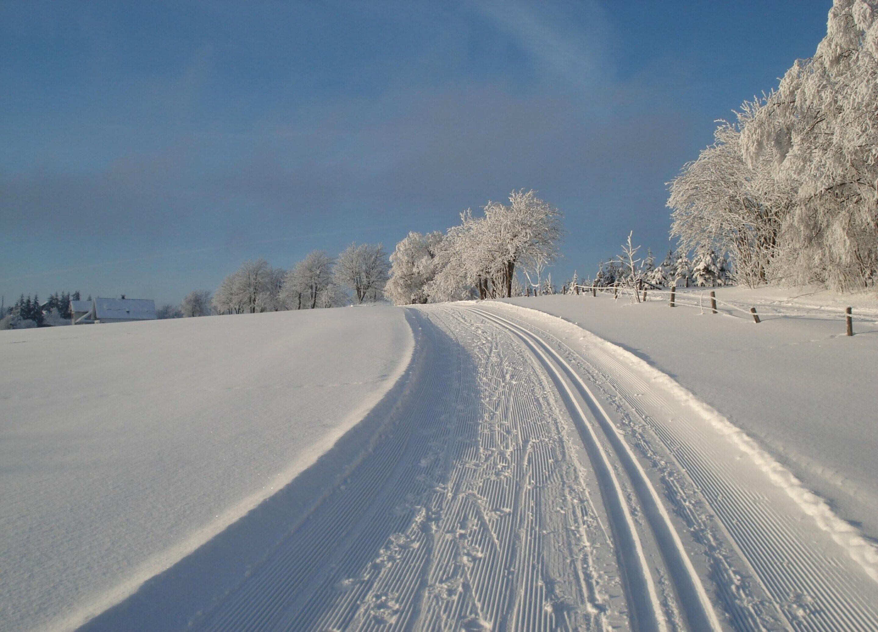 Een besneeerd landschap met een heldere lucht, een bochtige weg en sneeuw bedekte bomen.
