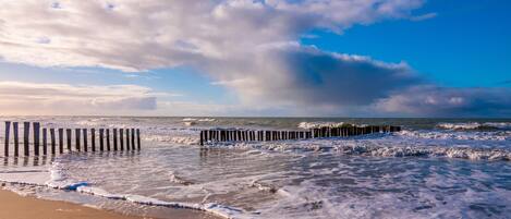 House | View from property