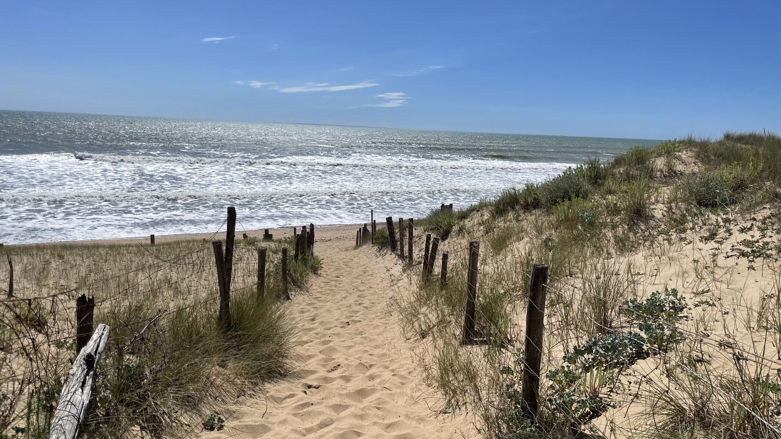 Strand