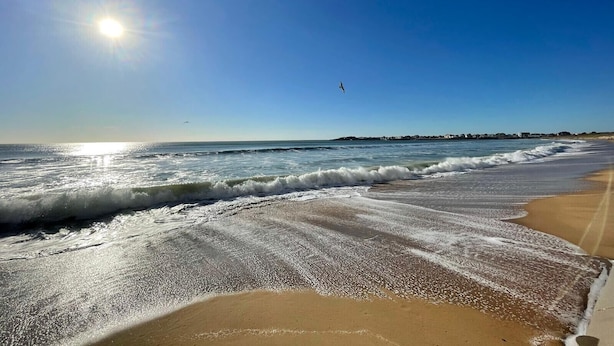 Una spiaggia con onde, cielo sereno e una costa lontana con edifici.
