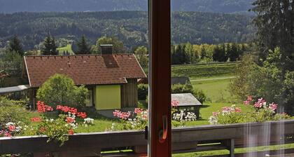 Nice Apartment With Sauna and Lakeview