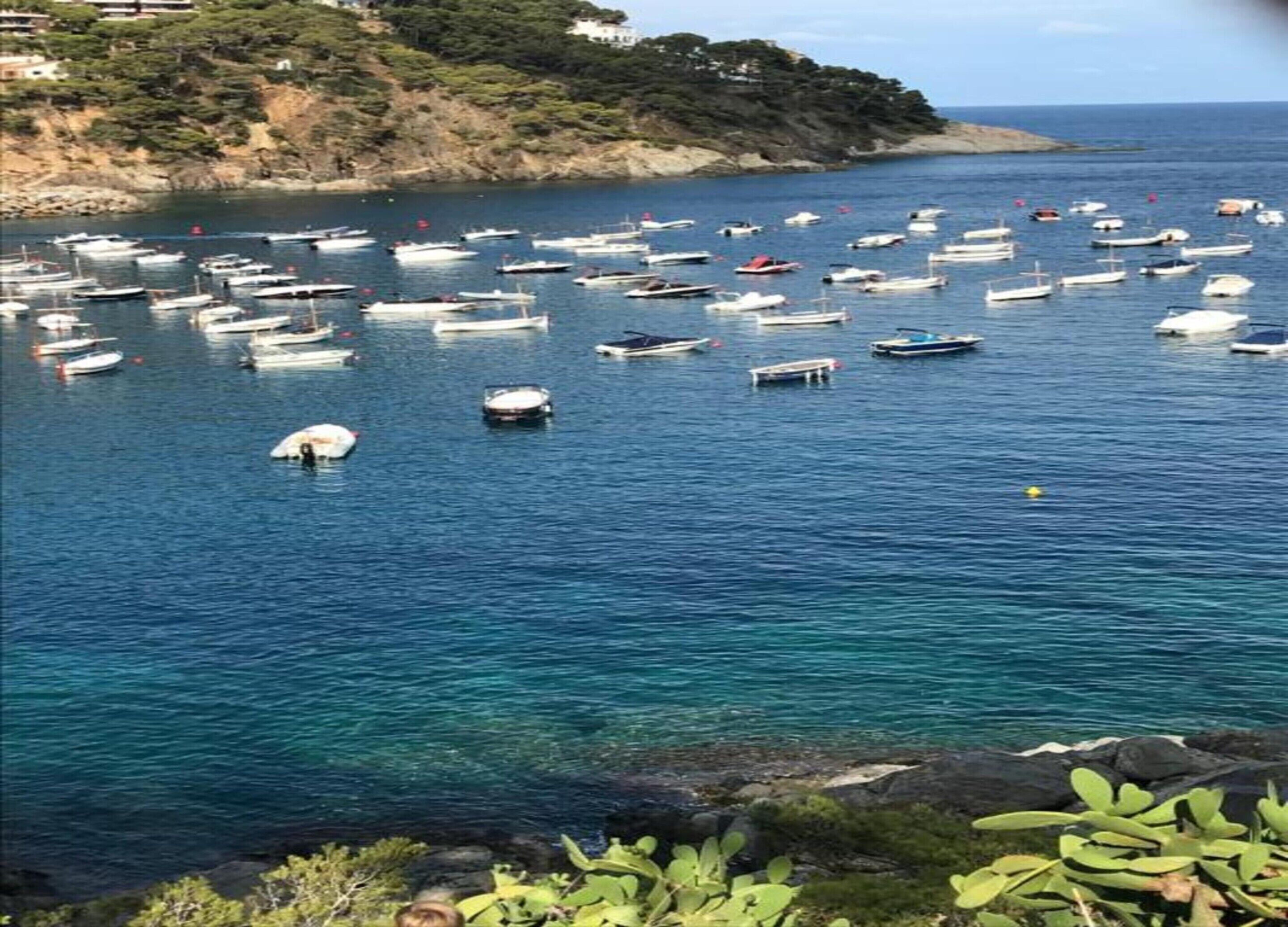 Tente | Vue depuis l’hébergement