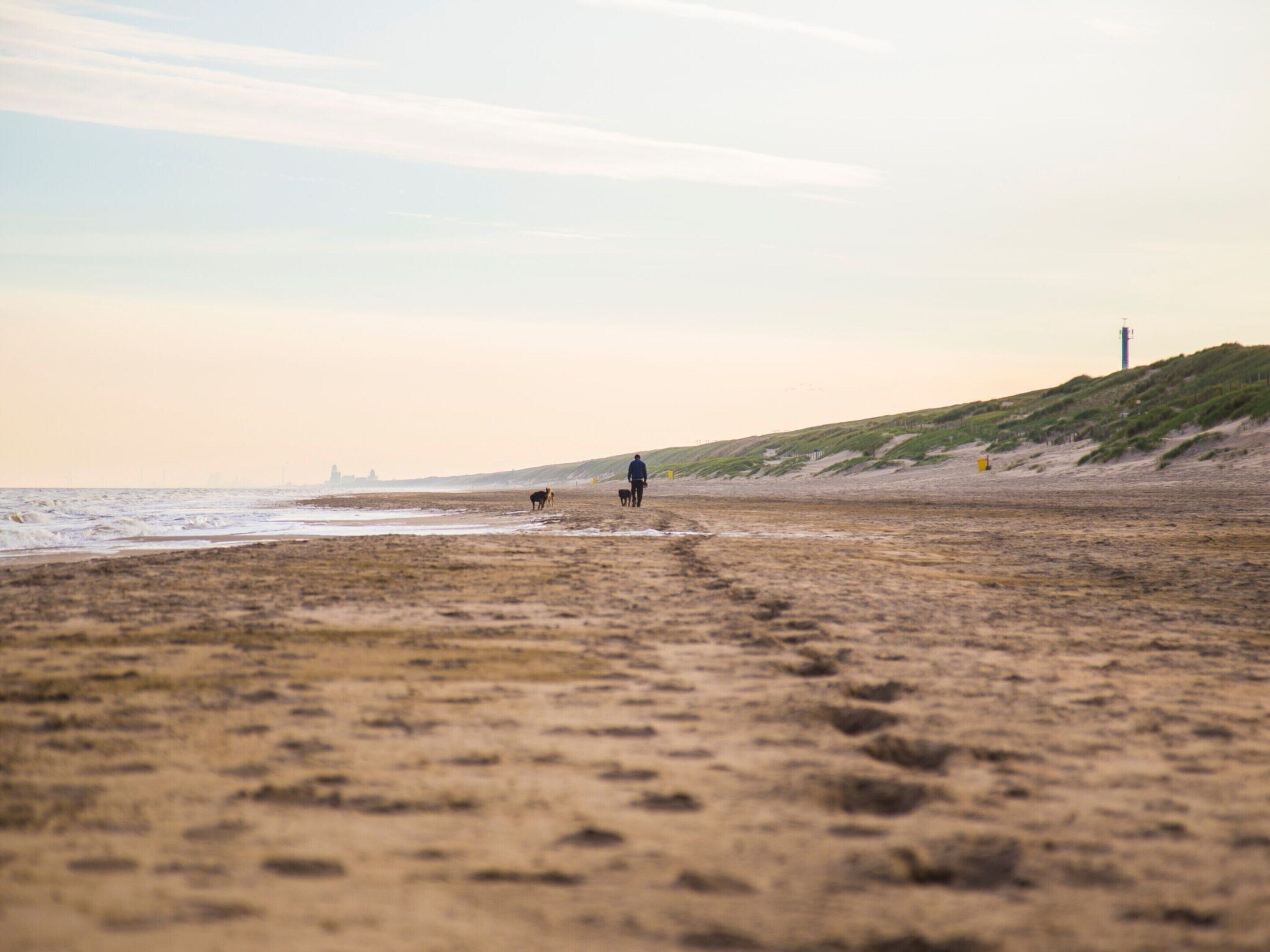 A beach with footprints leading towards the water, a person walking, and a hill with sparse vegetation.