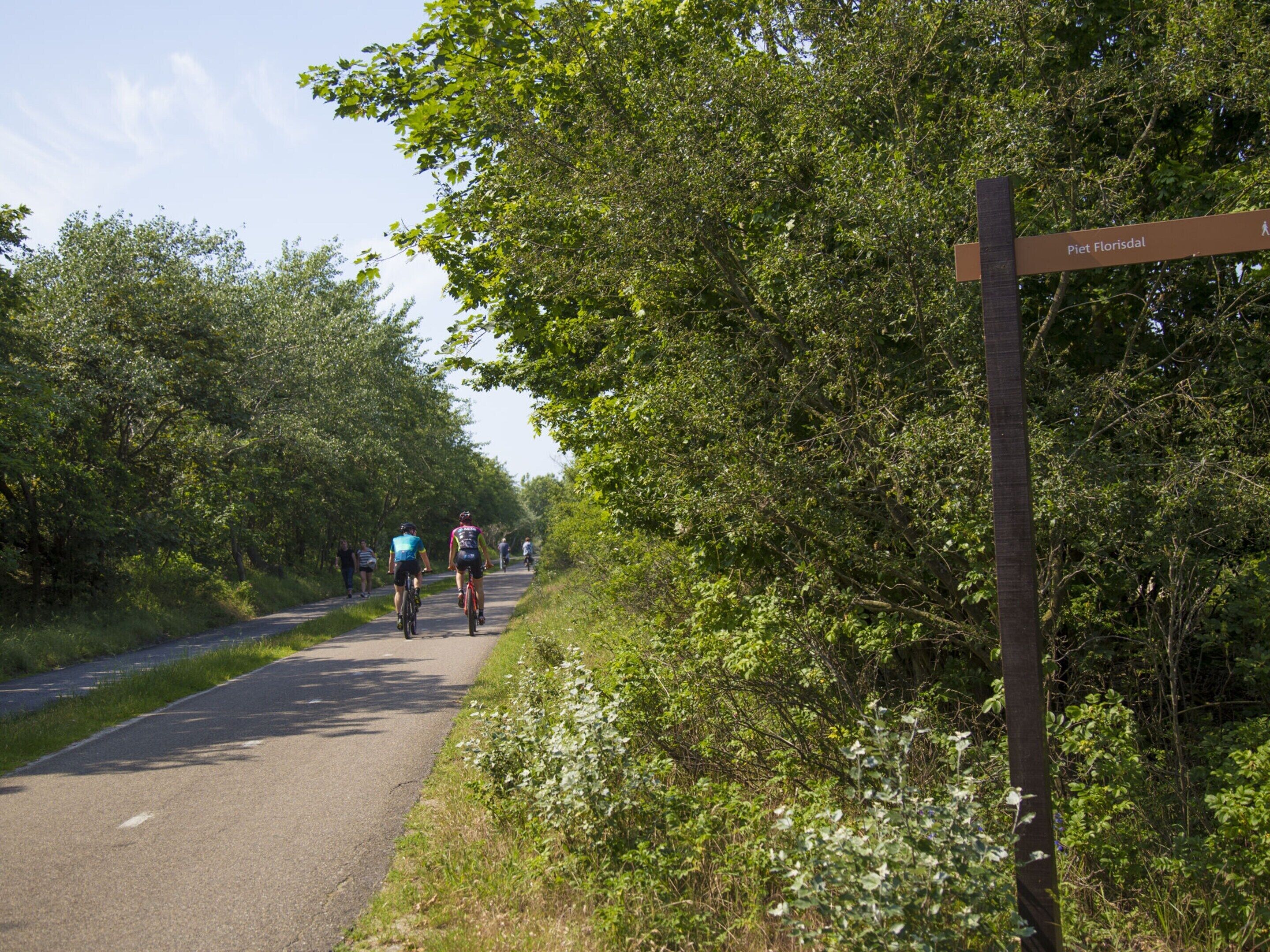 A paved path with cyclists and pedestrians, surrounded by lush greenery and trees.