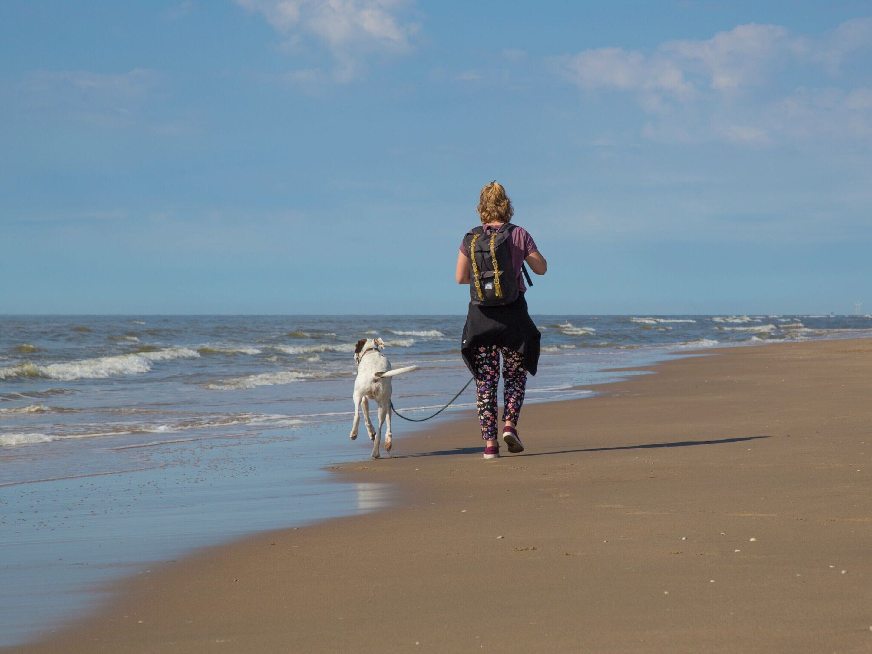 A person walking a dog on a sandy beach with the ocean in the background.