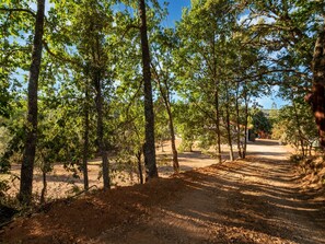 House | View from property - Comfy House With Large Garden and Swimming Pool (Arganil)