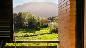 A balcony with a view of a green field, trees, and mountains in the distance. - Apartment in Asturias Near Playa de Torimbia (Llanes)