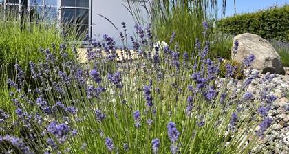 "villa Sorgenfrei" Comfortable Holiday Residence