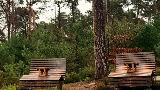 Two wooden cabins with sloped roofs, surrounded by dense forest. - Holiday Home Kobel Comfortable Vacation Home (Elmstein)