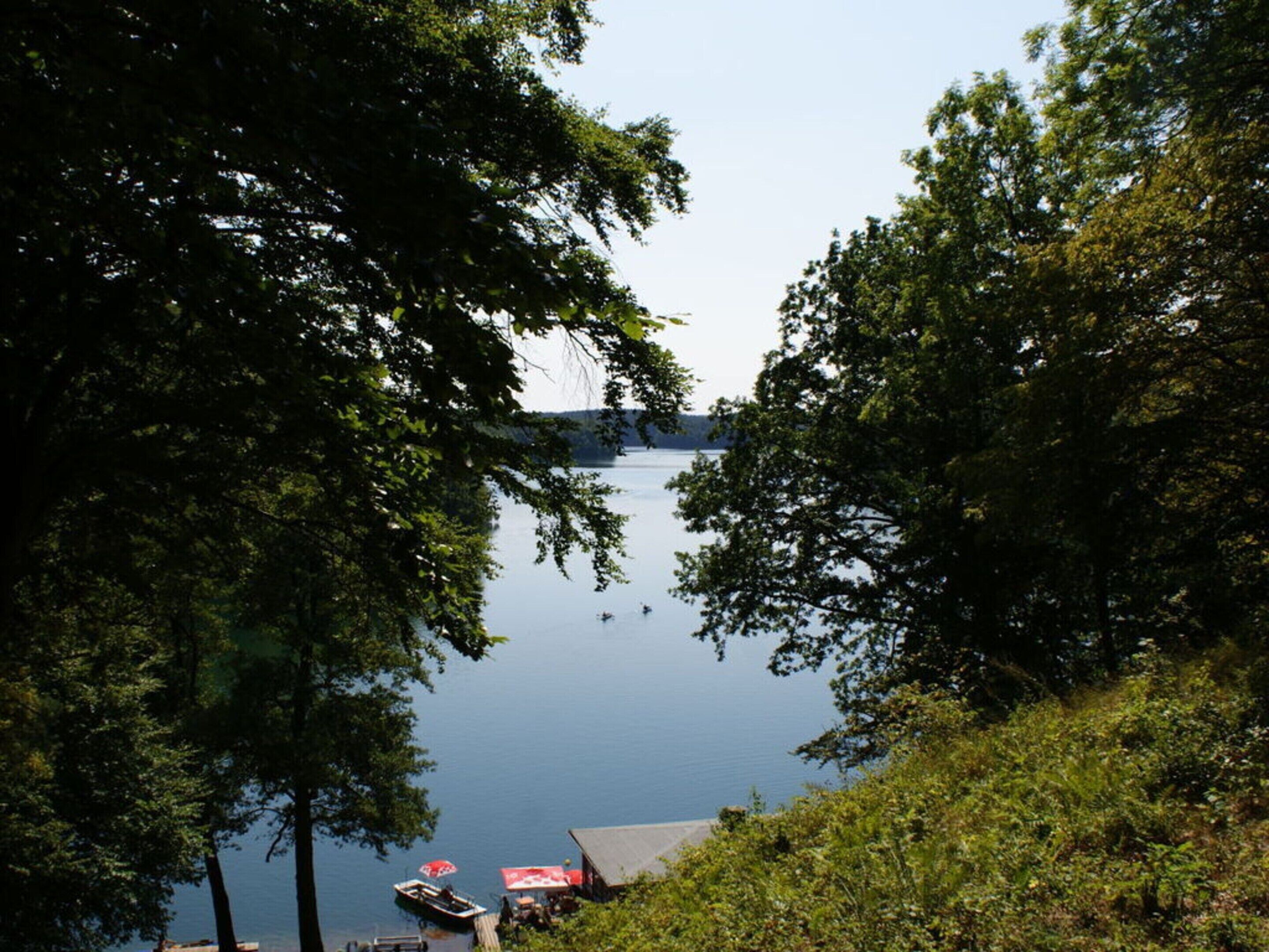 A lake with boats docked at a pier, surrounded by trees.
