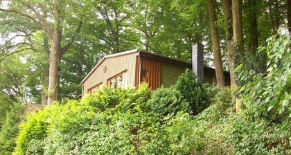 "hochstein" Modern Retreat