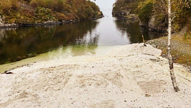 A river with a sandy beach and trees on both sides. - 8 Person Holiday Home in Seim (Alver)