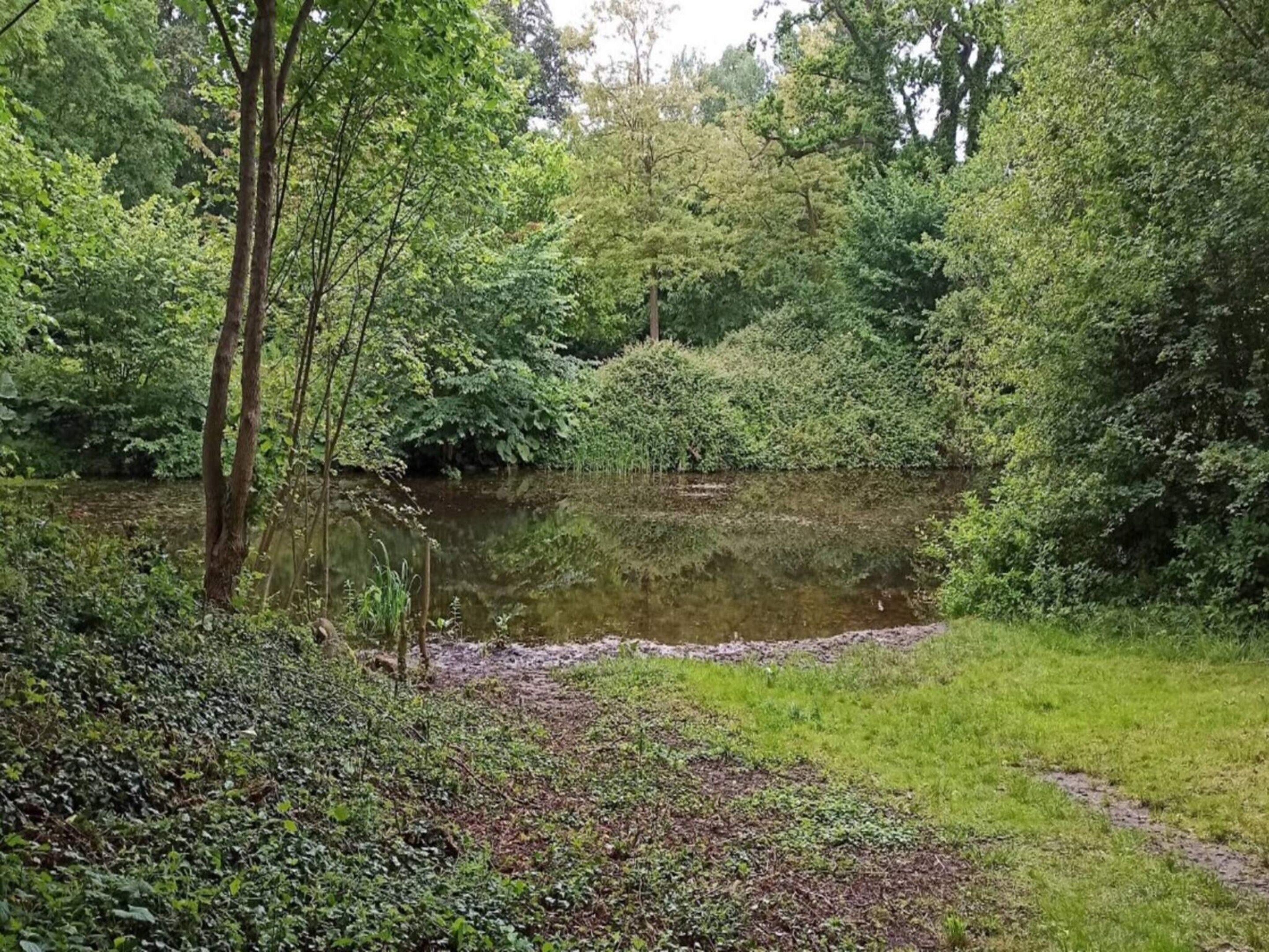 Un étang naturel, entouré d’une végétation luxuriante et d’arbres.