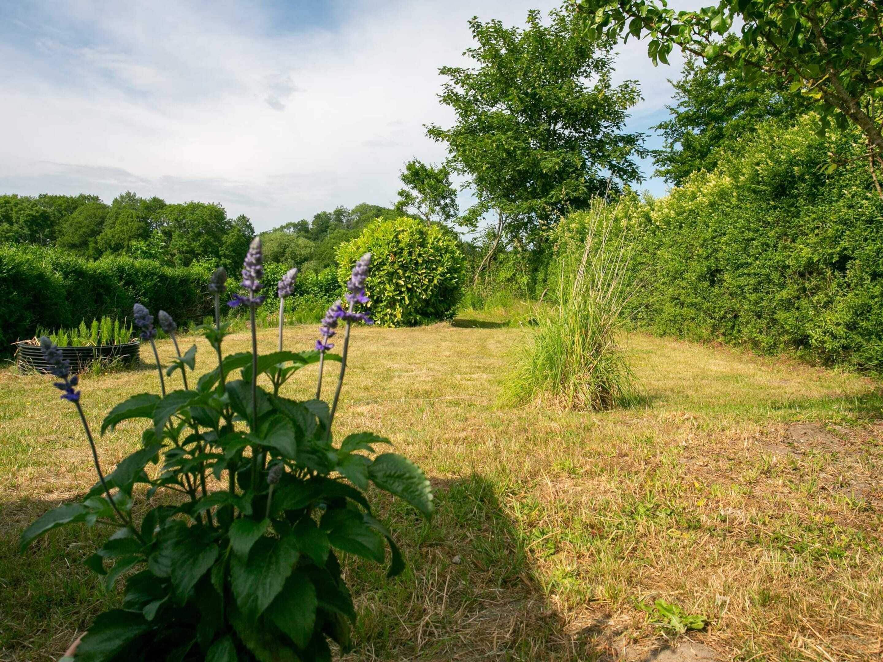 Nhà | Ngoại thất