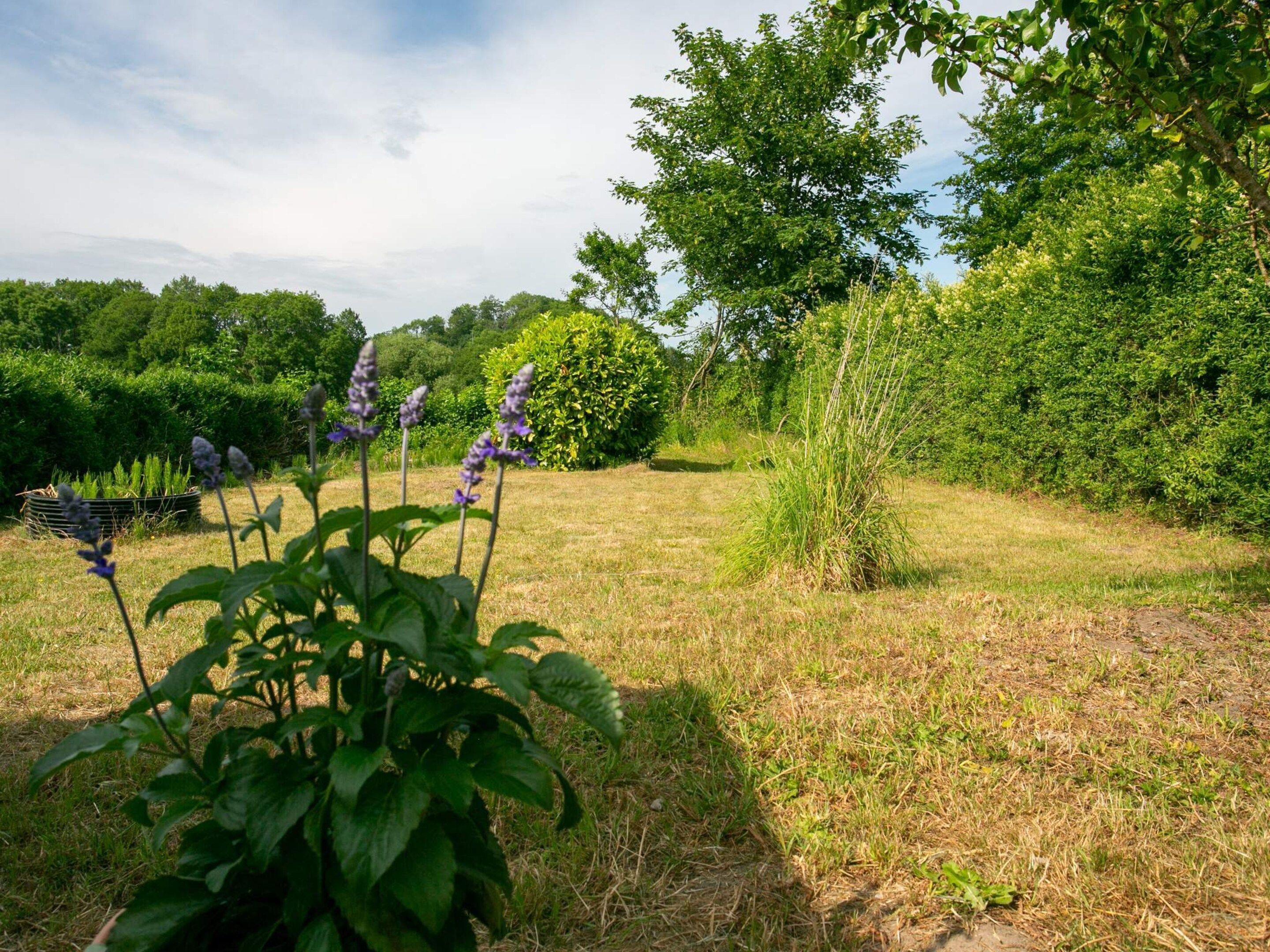 Un jardín con diversas plantas y árboles, una zona con césped y un sendero.