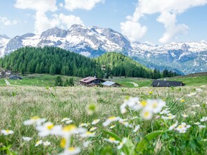 Un paisaje rural con una cadena montañosa al fondo, un campo de flores silvestres en primer plano y dos edificios rústicos con techos a dos aguas.