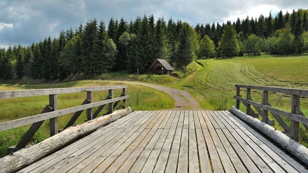 A wooden deck leading to a rustic cabin surrounded by a forest. - Rasehorn Comfortable Holiday Residence (Altenberg)