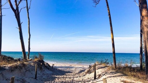 A beach path leading to the sea, surrounded by trees. - House Summerlove Comfortable Vacation Home (Ostseebad Prerow)
