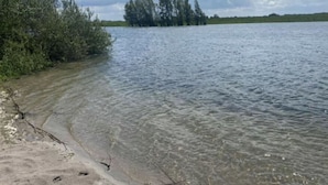 Un lago tranquilo con agua cristalina, rodeado de abundante vegetación y árboles a lo lejos.