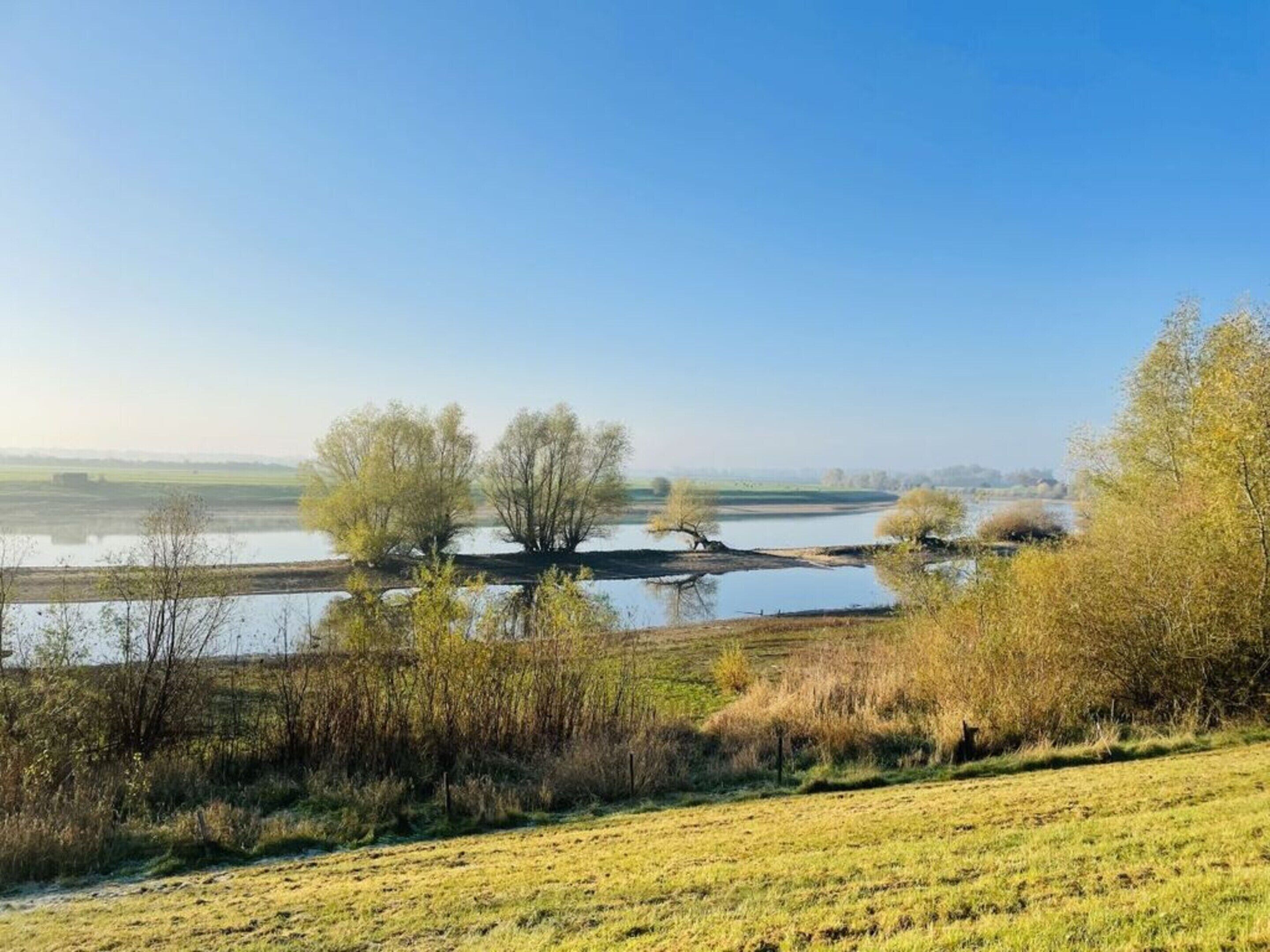 A serene landscape with a body of water, trees, and a grassy field.