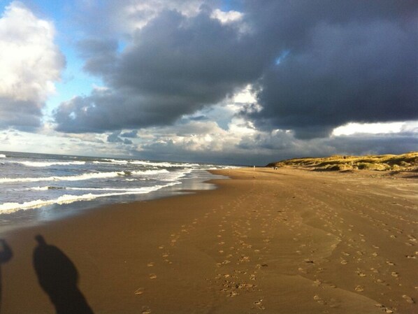Beach - Holiday Home De Zilvermeeuw (Julianadorp)