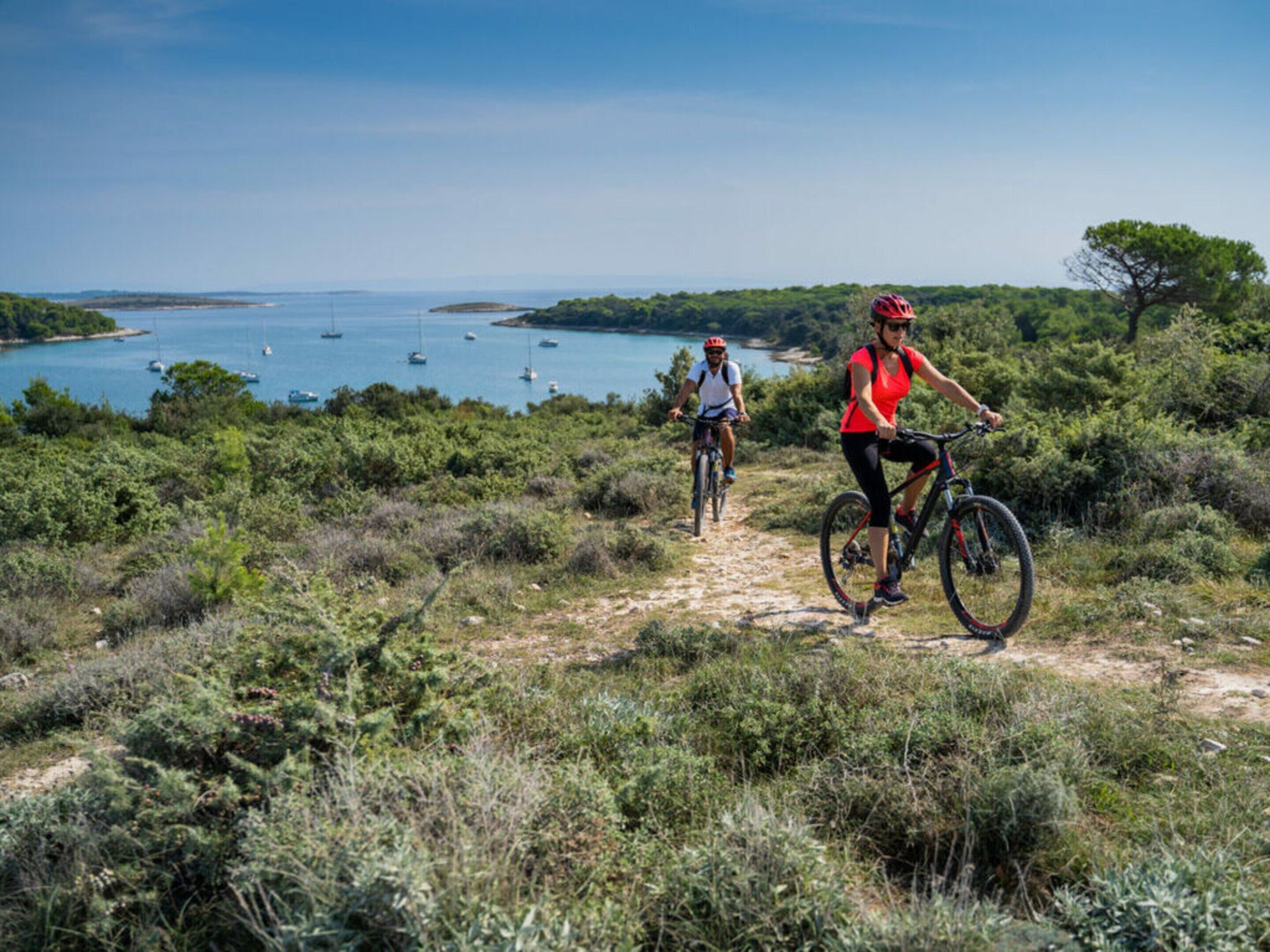 Un sendero costero con ciclistas, rodeado de vegetación y vistas a barcos en el agua.