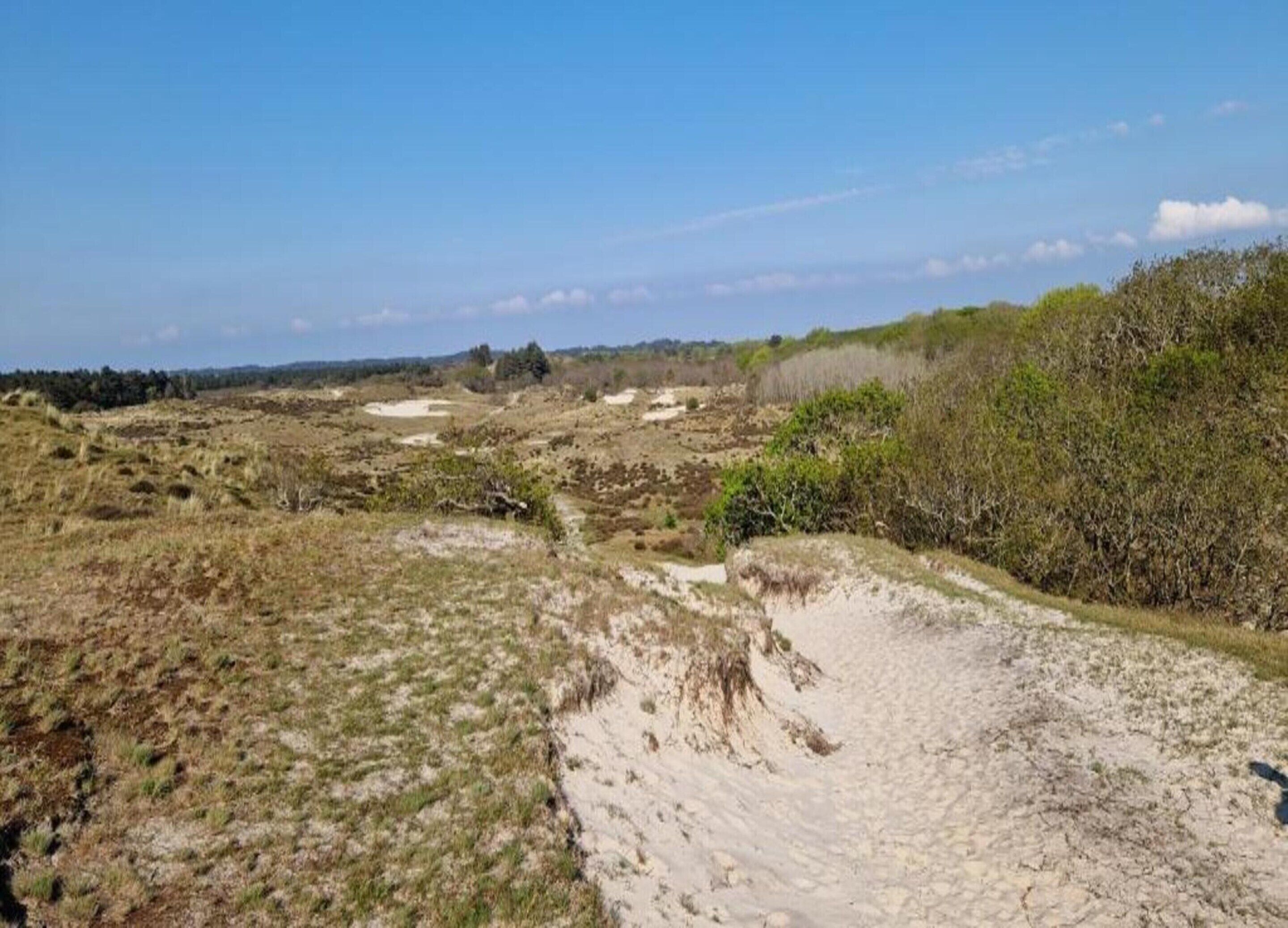 Paisaje costero con dunas de arena y vegetación escasa.