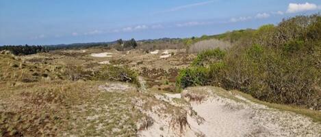 Paisaje costero con dunas de arena y vegetación escasa.