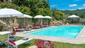 Piscina con sillas de descanso y sombrillas, rodeada de follaje y muros de piedra.