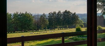 Typical Ardennes Chalet With hot tub