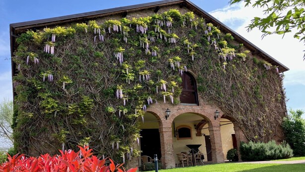 Un bâtiment à la façade en briques et doté d’un toit végétalisé recouvert de plantes grimpantes et de fleurs.