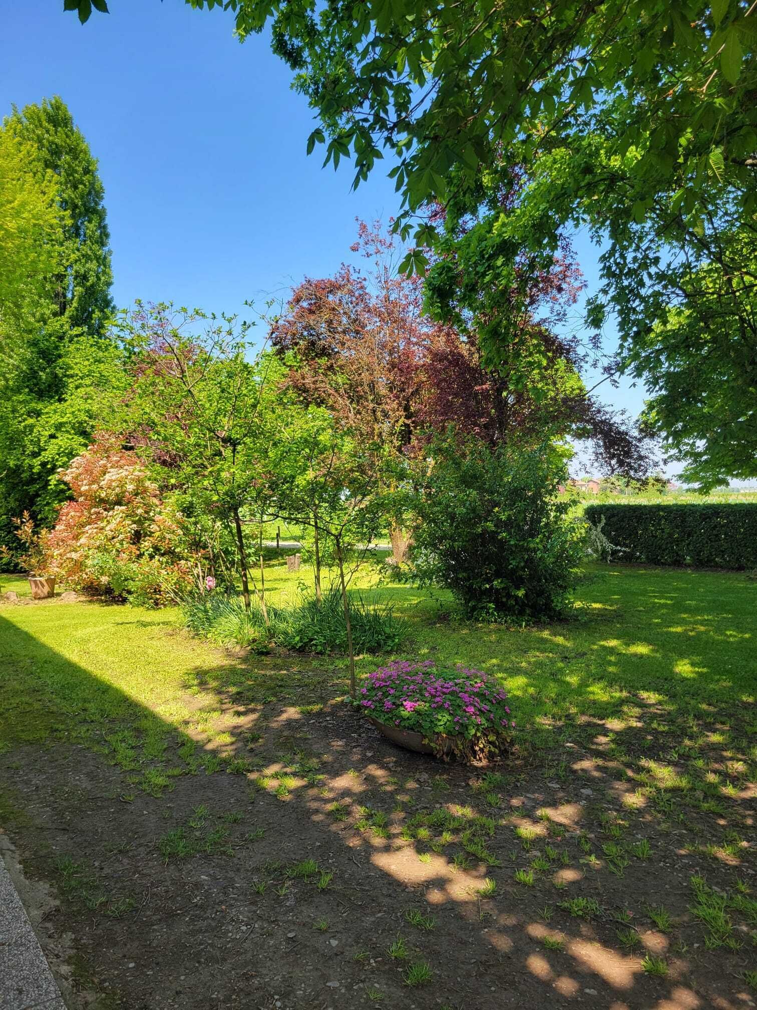 A garden with a variety of trees and shrubs, a well-maintained lawn, and a flower bed.