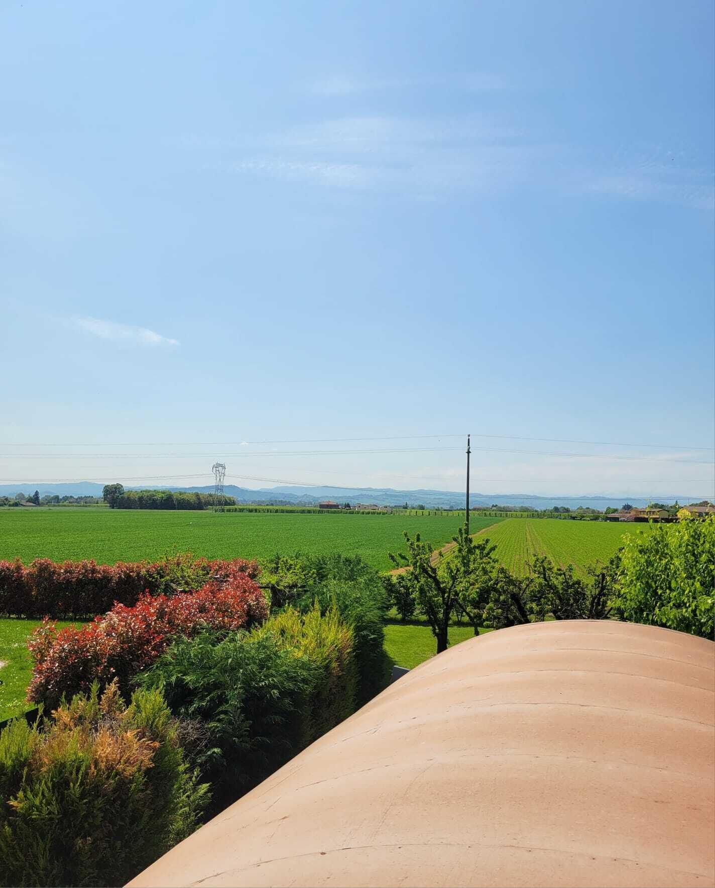 A rural landscape with a clear sky, green fields, and distant mountains.