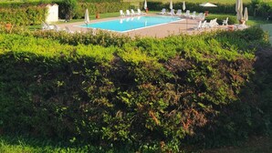 Une piscine entourée de verdure et de champs, avec des chaises longues et des parasols.