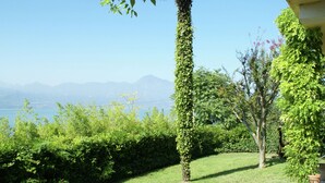 Un jardin luxuriant agrémenté d’un palmier, de divers arbustes et offrant une vue sur des montagnes et une étendue d’eau.