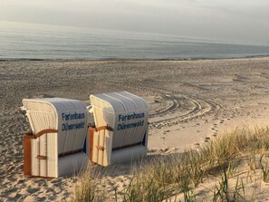 Beach - Holiday House Dune Forest b (Ostseebad Dierhagen)
