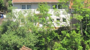 A house surrounded by dense forest. - Chez Emil and Isabelle (Rumbach)