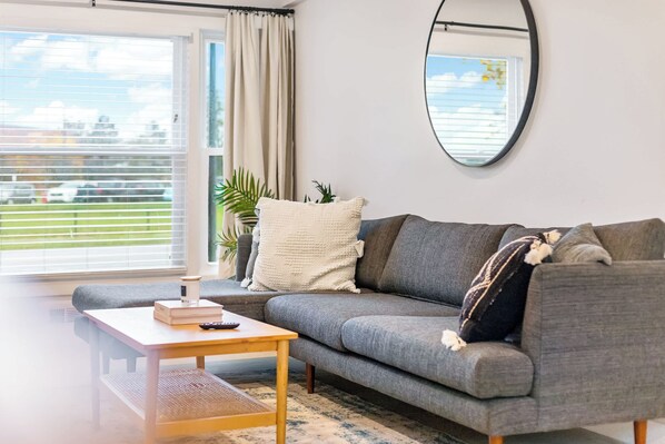 TV, offices, computer monitors