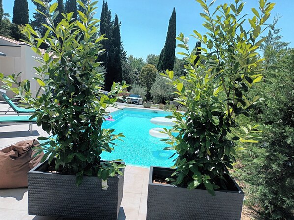 Pool - Villa Neuve 180m² Isolée Hauteurs Prades le Lez : 4 Vastes Chambres, Piscine 8x4 (Prades-le-Lez)
