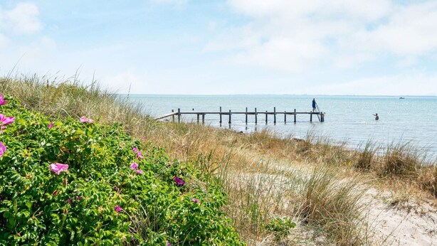 A beach with a wooden pier extending into the water, surrounded by greenery and flowers. - Seaside Retreat in Kegnaes - By Traum Ferienwohnungen (Sydals)
