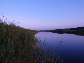 A calm river with tall grasses on the banks.