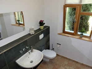 A bathroom with a white sink, a toilet, a mirror, and a window with a view of trees.
